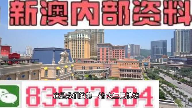 2024新澳门精准正版免费资料510期-精选解释解析落实