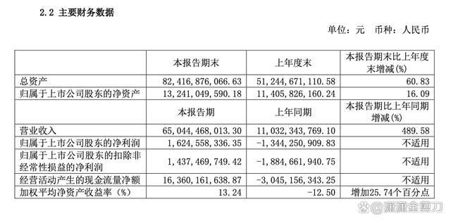 新澳门三中三码精准100%-精选解释解析落实