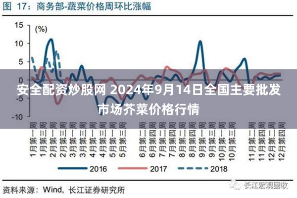 芥菜最新报道，产业动态与市场趋势分析